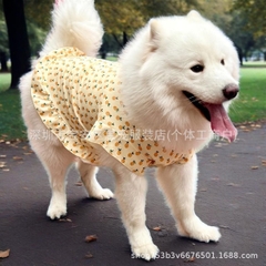 Váy Công Chúa Dòng Chó Lớn