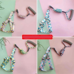 Dây dắt chó lớn