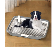 Khay vệ sinh dẹp cho cún 65*50*6cm