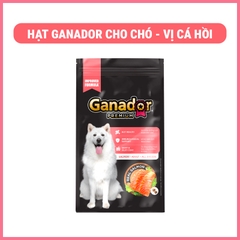 Ganador cá hồi và gạo 3kg