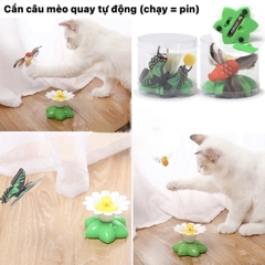 Cần câu mèo quay tự động bằng pin - Chim