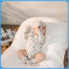 (NB-3M) Bộ đồ liền thân dài tay cài chéo Dona BBB2108DN cho bé sơ sinh  - Bambus | Quần áo BU Baby