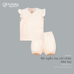 BU Baby (0M-9M) Bộ ngắn tay cài chéo Little Car Bamboo IBB130800 | Quần áo chính hãng