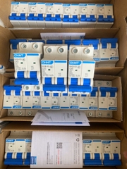 Aptomat- CB 2pha CHINT (NXB-63 40A)