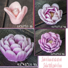 Combo 4 Trà MẫU Đơn Z1 Z2 Z3 Z4