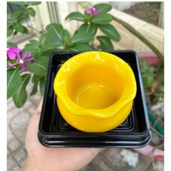 Khuôn Silicon - Hủ Vàng - Rỗng Nhỏ 8.2cm