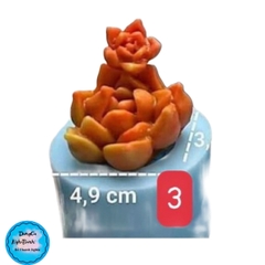 Khuôn Silicon - Sen Đá ĐỨNG  - Set - #3 - 4.9x3.4cm - Chùm Hoa