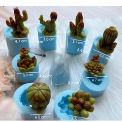 Combo 8 Sen Đá Xanh