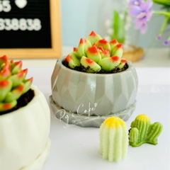 Khuôn Silicon - Chậu Cây - Đa Giác 9.7cm Không Kèm Đế