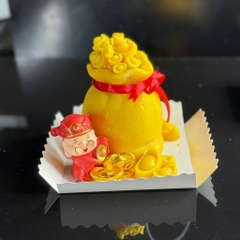 Khuôn Silicon Túi Vàng Hủ Vàng To 12.5cm Mã C160