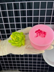 Khuôn Silicon - Sen Đá TIA - Cánh Tia Xoay 6.5cm