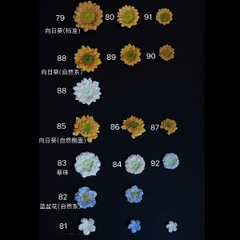 Khuôn Silicon - Hoa Hàn Quốc -Hướng Dương H80