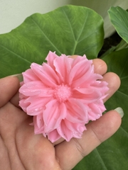 Khuôn Silicon - Hoa Cúc Nhụy Cánh Thẳng - 6.5cm