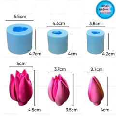 Khuôn Silicon - Tulip Mới Set 3