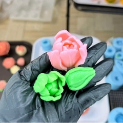 Khuôn Silicon - Tulip Mới Set 3