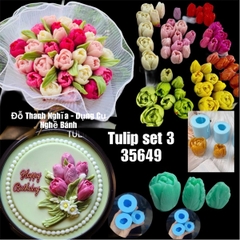 Khuôn Silicon - Tulip Thái HOT Set 3