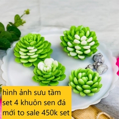 Khuôn Silicon - Sen Đá TIA - Liên Đài 6x3.5cm M1