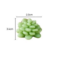 Khuôn Silicon - Sen Đá TIA Đất Tầng 3.4cm
