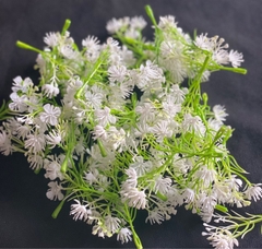 CỎ BÔNG BI THẠCH THẢO- CÚC NHỰA - 50gr CÚC NHỰA
