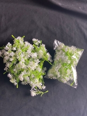 CỎ BÔNG BI THẠCH THẢO- CÚC NHỰA - 50gr CÚC NHỰA