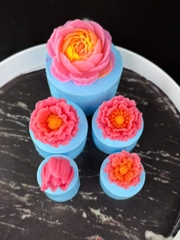 Combo 5 Khuôn Hoa Mao Lương Cúc Tulip 560