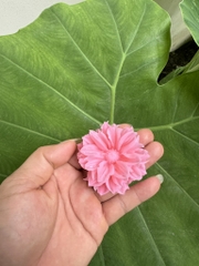 Khuôn Silicon - Hoa Cúc Nhụy Cánh Thẳng - 6.5cm