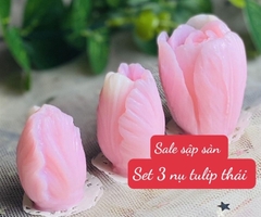 Khuôn Silicon - Tulip Thái HOT Set 3