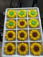 [10 cup] Khuôn Silicon - Cup Set 5cm - M92 Hướng Dương