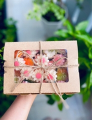 Hộp Giấy - Cup Cake - 12 Bánh - Màu Trắng
