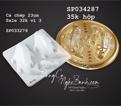Hộp Nhựa - Cá Chép - 2c 23cm