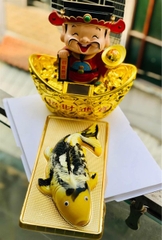 Hộp Nhựa - Cá Chép - 30cm