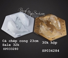 Hộp Nhựa - Cá Chép - Cong