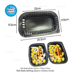 Hộp Nhựa - Chữ Nhật HT203 - 24x17cm Cao 5cm