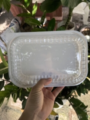 Hộp Nhựa - Chữ Nhật HT203 Đế Trắng - 24x17cm Cao 5cm