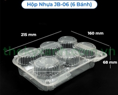 Hộp Nhựa - Chữ Nhật Nắp Gập JB06 - 6 Ngăn 6x6cm