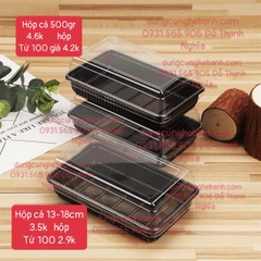 Hộp Nhựa - Chữ Nhật TN18 - 18x10cm Cao 6.5cm