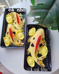 Hộp Nhựa - Chữ Nhật TN25 - 25x15cm Cao 7cm - Đế Đen 2024