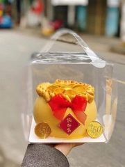 Hộp Nhựa Mika - Vuông Quai Rời Đế Giấy - 1 Hộp 19x19cm Cao 15cm