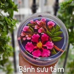 Hộp Nhựa - Tròn 15x6cm - Mika Cứng Giòn - 850ml