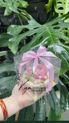Hộp Mika - 1 Bánh Lót Vuông Đế Giấy Vàng - 1 Ngăn - 10x10cm Cao 10cm