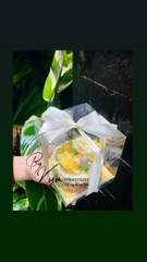 Hộp Mika - 1 Bánh Lót Vuông Đế Giấy Vàng - 1 Ngăn - 10x10cm Cao 10cm