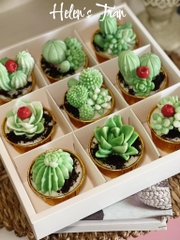Hộp Nhựa - Vuông Đế Giấy - 9 Ngăn 8x8cm Cao 10cm
