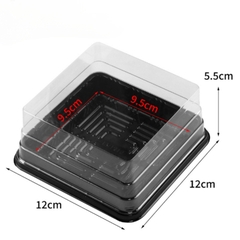 Hộp Nhựa - Vuông XY10 - 10x10cm Cao 5.5cm  Đế Đen