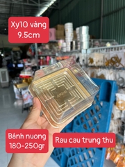 Hộp Nhựa - Vuông XY10 - 10x10cm Cao 5.5cm  Đế Đen