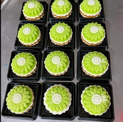 Hộp Nhựa - Vuông XY10 - 10x10cm Cao 5.5cm  Đế Đen