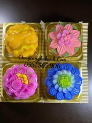 Hộp Nhựa - Vuông XY10 - 10x10cm Cao 5.5cm Đế Vàng