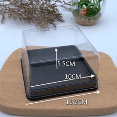 Hộp Nhựa - Vuông XY11 Đế Đen- 11x11cm Cao 5.5cm H666