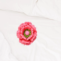 Khuôn Silicon - Hoa Mẫu Đơn K2 4cm