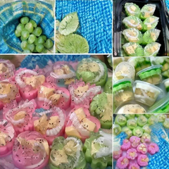 Khay Đá Nhựa CH - KD05 - TH 10c - Mai Hồng Cúc 5 Mẫu