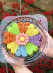 Khuôn Ấn Xôi - Hoa Mai - Chia 8c Ngăn - Tam Giác